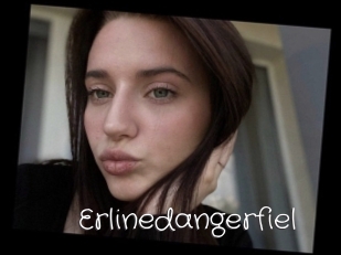 Erlinedangerfiel
