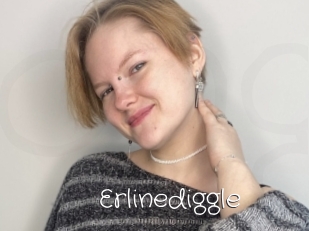 Erlinediggle