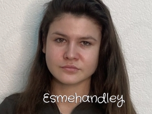 Esmehandley
