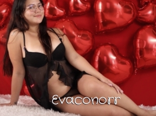 Evaconorr