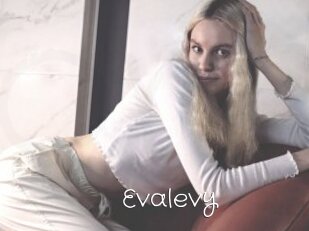 Evalevy