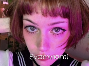 Evaminami