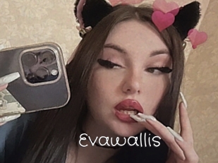 Evawallis
