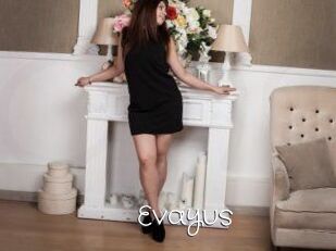 Evayus