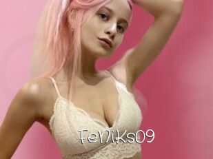 FeNiKs09