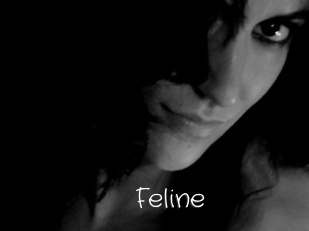 Feline