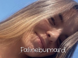 Falineburnard