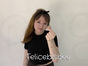 Felicebisbee