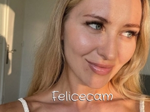 Felicecam