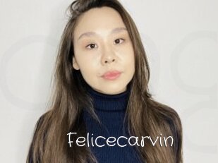 Felicecarvin