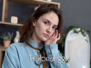 Felicediggle