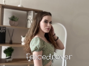 Felicedrover