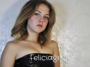 Feliciagrey