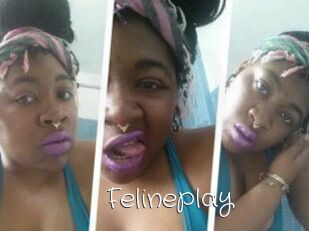 Felineplay