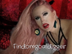 Findomgoaldigger