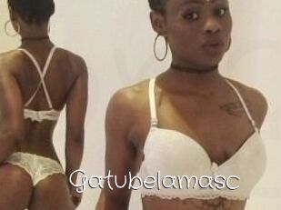 Gatubela_masc