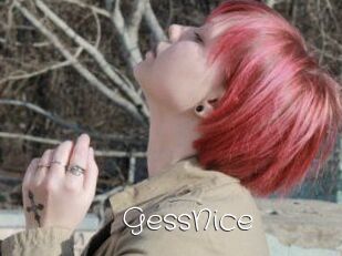 GessNice