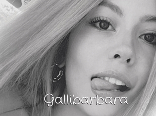 Gallibarbara