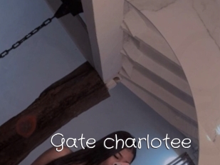 Gate_charlotee