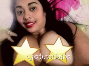 Gaticafiera