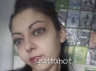 Gattahot