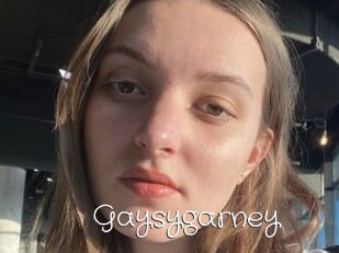 Gaysygarney