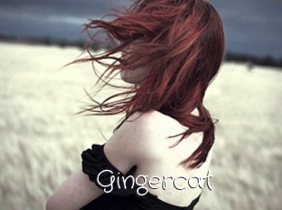 Gingercat