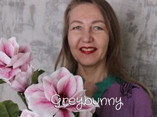 Greybunny