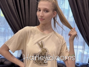 Harleyblooms