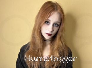 Harrietbigger