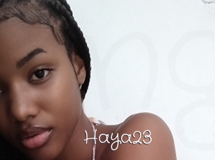 Haya23