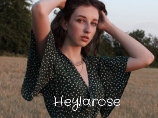 Heylarose