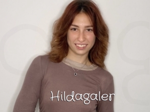 Hildagaler