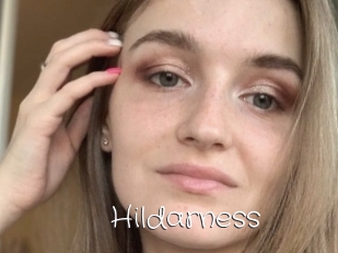 Hildarness
