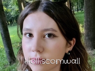 Holliscornwall