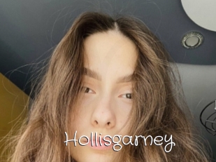 Hollisgarney