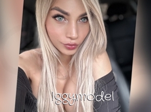 Iggymodel