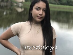 Imcataleya