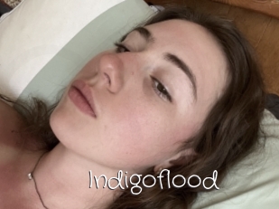 Indigoflood
