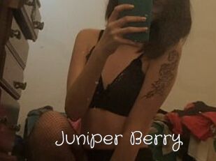 Juniper_Berry
