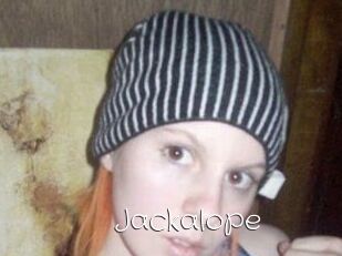 Jackalope