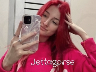 Jettagorse