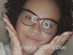 Juniper_camrose