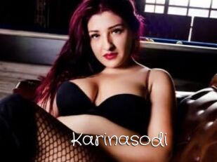 Karinasodi