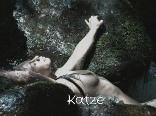 Katze