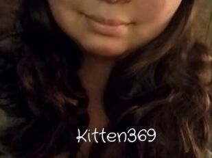 Kitten369