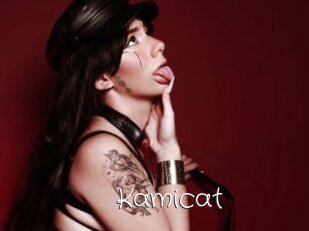 Kamicat