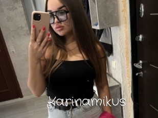 Karinamikus