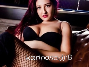 Karinasodi18