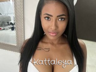Kattaleya
